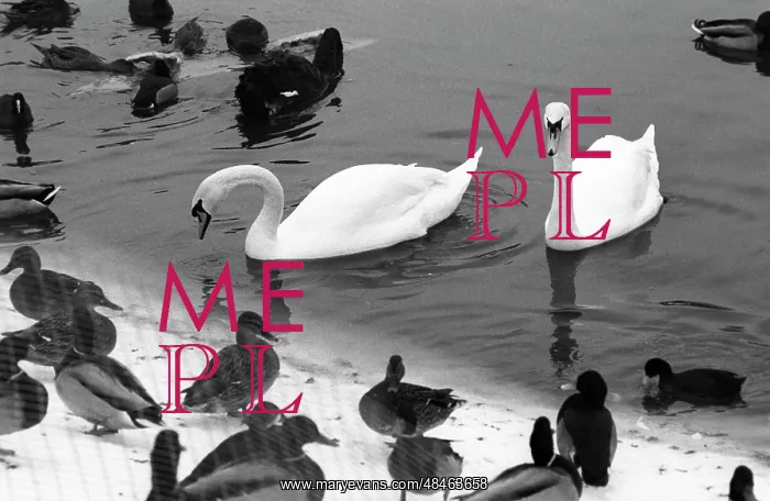 : Moscow Zoo, 1988 : Moscow Zoo, 1988