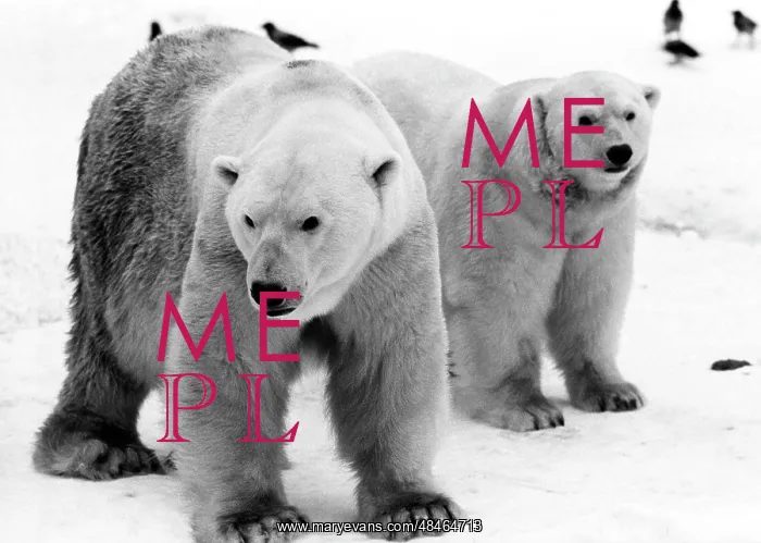 : Moscow Zoo, 1988 : Moscow Zoo, 1988