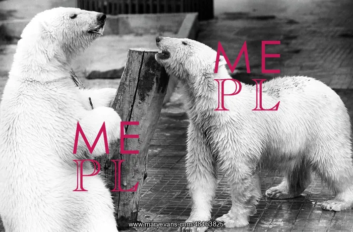 : Moscow Zoo, 1989 : Moscow Zoo, 1989