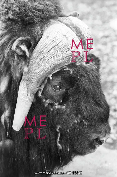 : Moscow Zoo, 1989 : Moscow Zoo, 1989