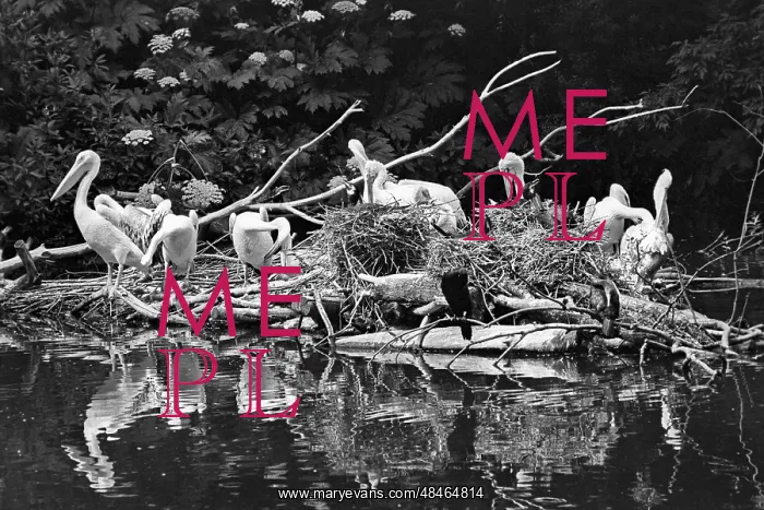 : Moscow Zoo, 1989 : Moscow Zoo, 1989