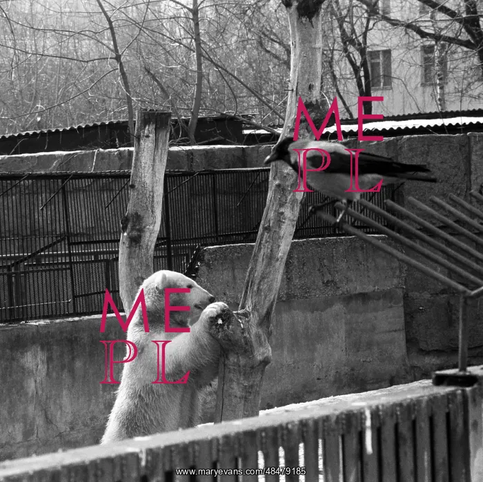 : Moscow Zoo, 1989 : Moscow Zoo, 1989