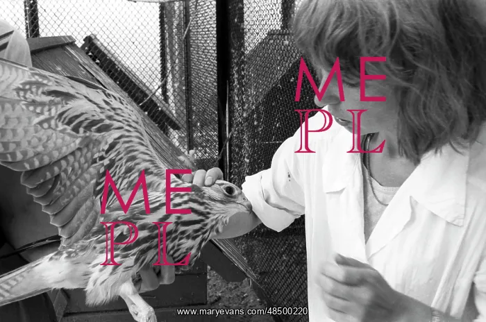 : Moscow Zoo, 1991 : Moscow Zoo, 1991