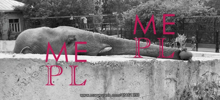 : Moscow Zoo, 1992 : Moscow Zoo, 1992