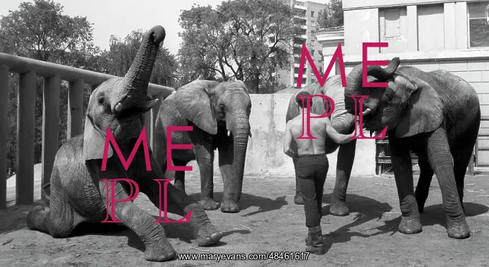: Moscow Zoo, 1992 : Moscow Zoo, 1992