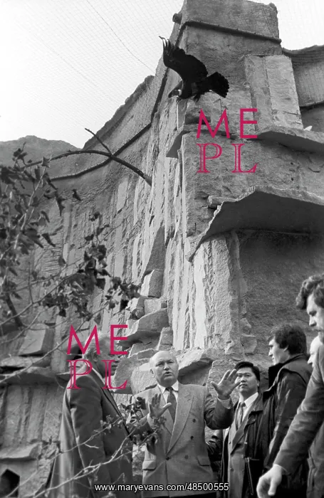 : Moscow Zoo, 1993 : Moscow Zoo, 1993