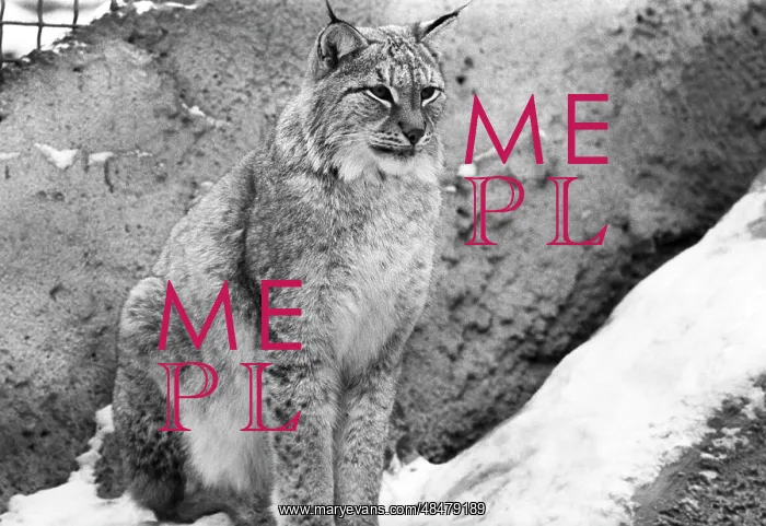  : Moscow Zoo, 1994