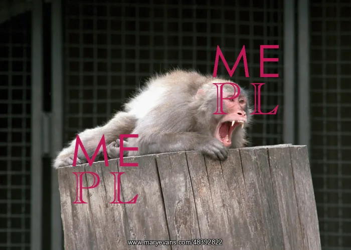 : Moscow Zoo, 1996 : Moscow Zoo, 1996