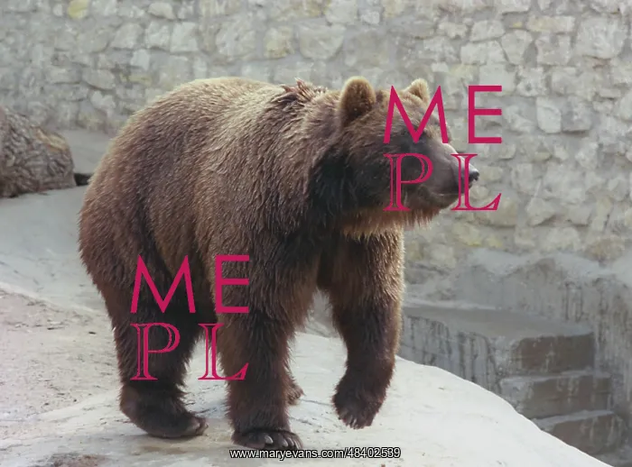 : Moscow Zoo, 1996 : Moscow Zoo, 1996