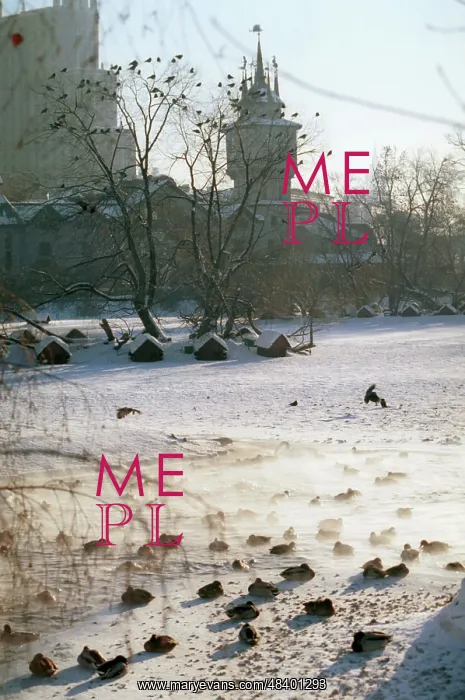 : Moscow Zoo, 1997 : Moscow Zoo, 1997