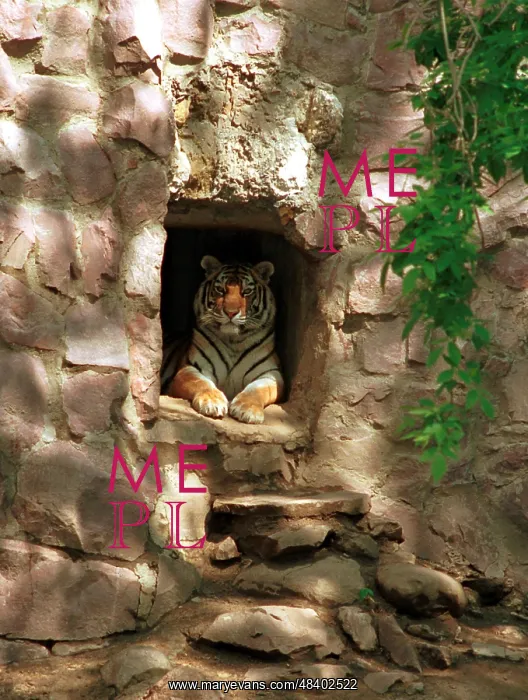 : Moscow Zoo, 1997 : Moscow Zoo, 1997