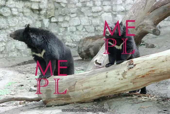 : Moscow Zoo, 1997 : Moscow Zoo, 1997
