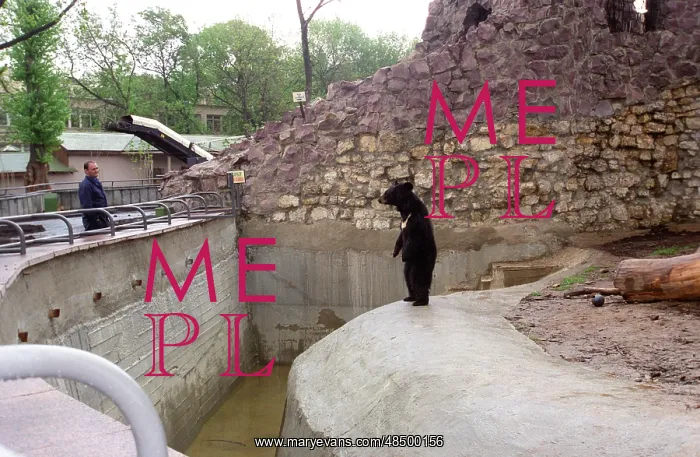 : Moscow Zoo, 1997 : Moscow Zoo, 1997