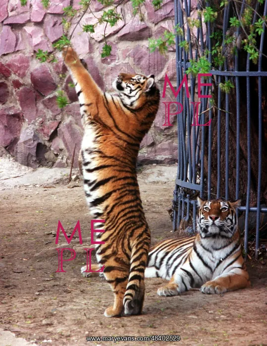 : Moscow Zoo, 1998 : Moscow Zoo, 1998