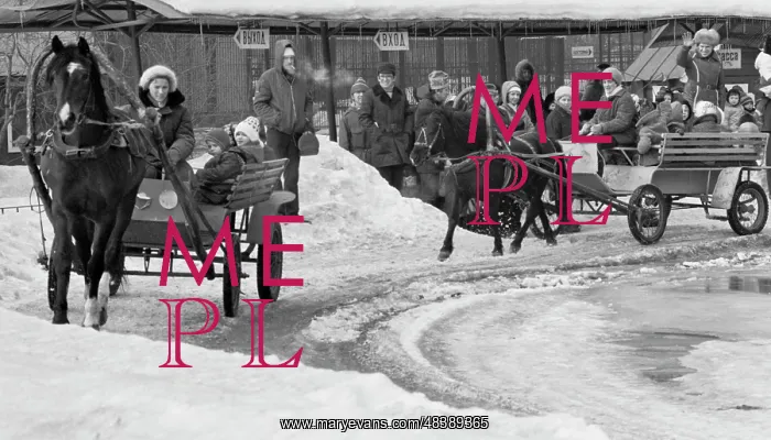 : Moscow Zoo : Moscow Zoo