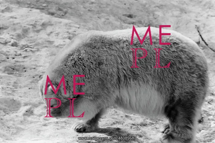 : Moscow Zoo : Moscow Zoo