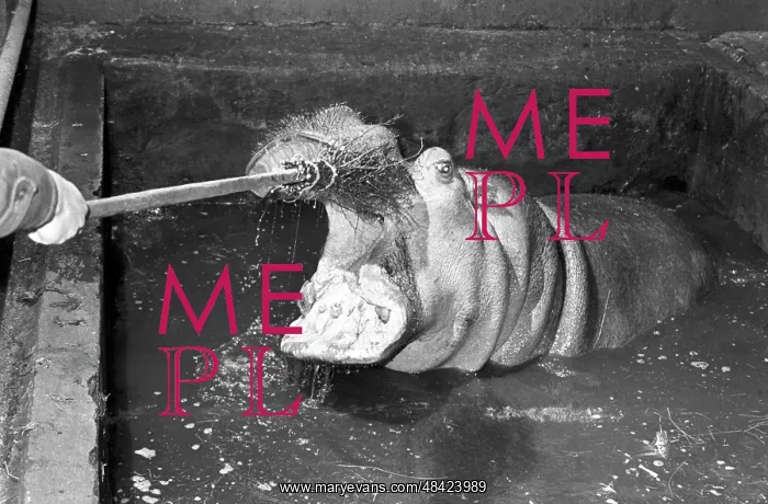 : Moscow Zoo : Moscow Zoo