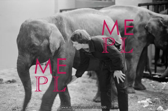 : Moscow zoo : Moscow zoo