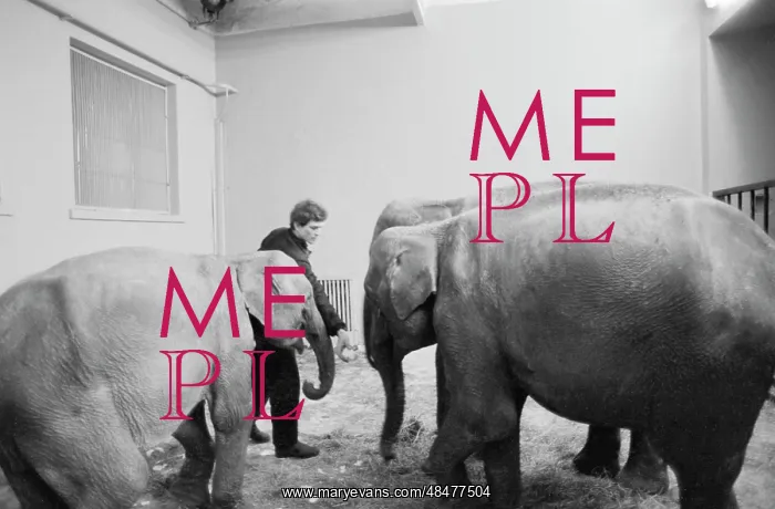 : Moscow zoo : Moscow zoo