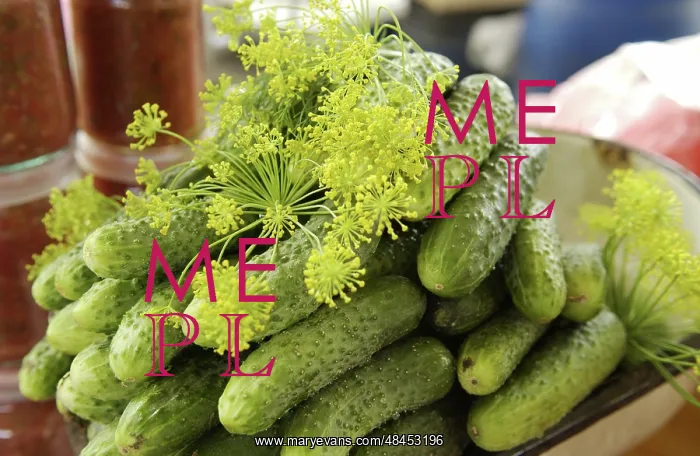  : Moscow's food markets