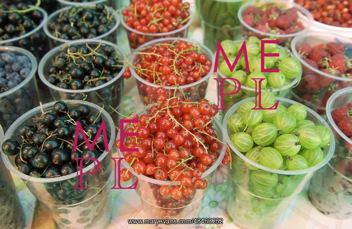  : Moscow's food markets