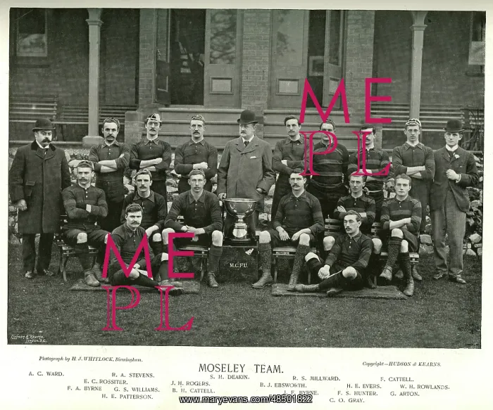 : Moseley Rugby Team : Moseley Rugby Team