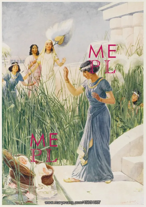 : MOSES FOUND : MOSES FOUND