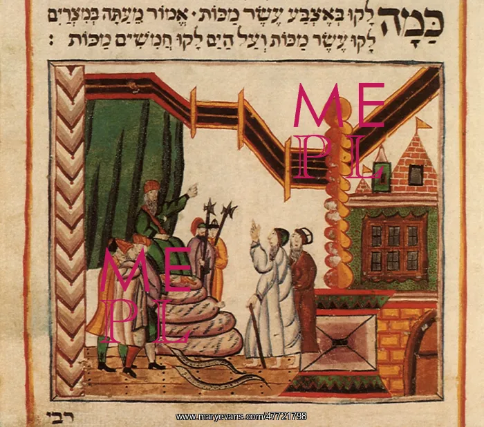  : Moses and Aaron before Pharaoh