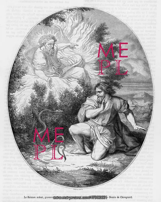 : MOSES & THE BURNING BUSH : MOSES & THE BURNING BUSH