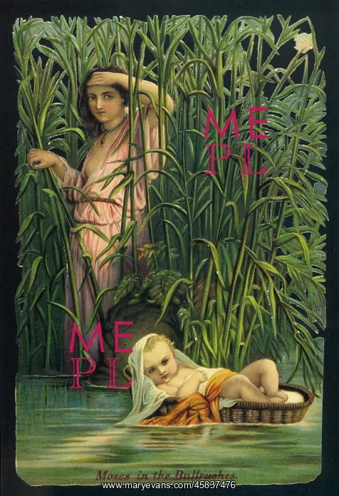 : Moses Cast Adrift : Moses Cast Adrift