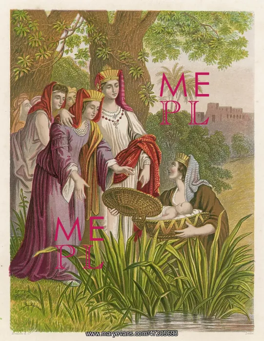 : MOSES FOUND - KRONHEIM : MOSES FOUND - KRONHEIM