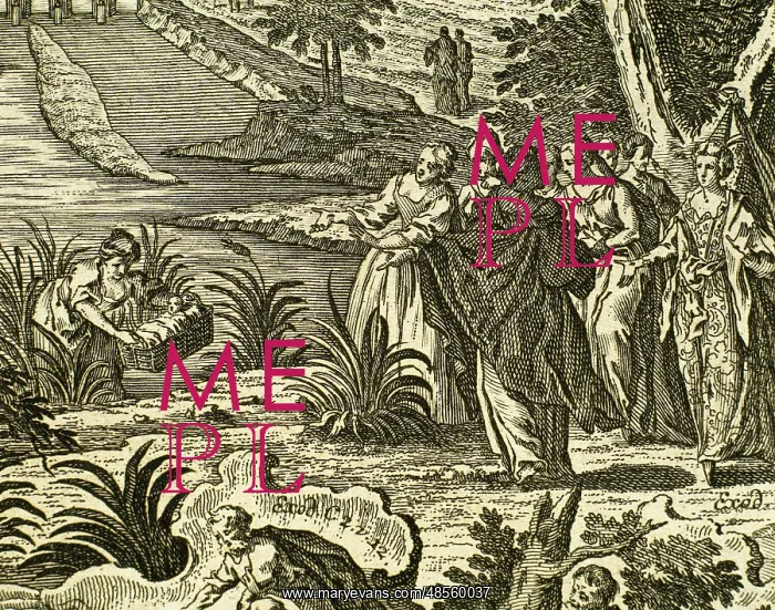 : Moses rescued from the Nile. Engraving : Moses rescued from the Nile. Engraving