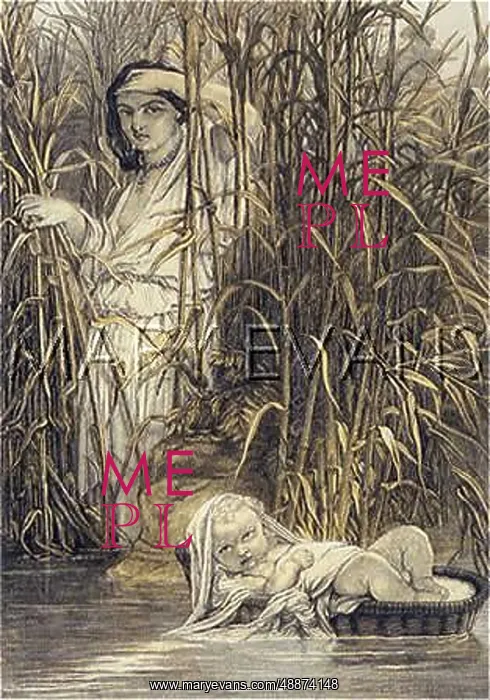 : MOSES RESCUED (ROCHE) : MOSES RESCUED (ROCHE)