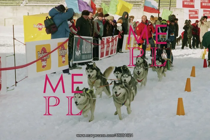 : Moskoviya-96 Sled Dog Racing : Moskoviya-96 Sled Dog Racing