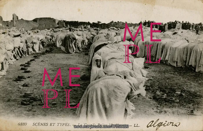 : Moslems at prayer, Algiers, Algeria : Moslems at prayer, Algiers, Algeria