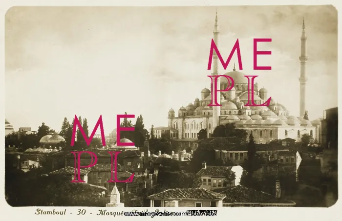 : Mosque Fatih Camii : Mosque Fatih Camii