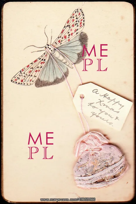 : Moth on a handmade Christmas card : Moth on a handmade Christmas card