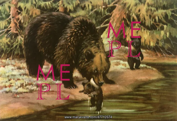  : Mother Bear and Cubs