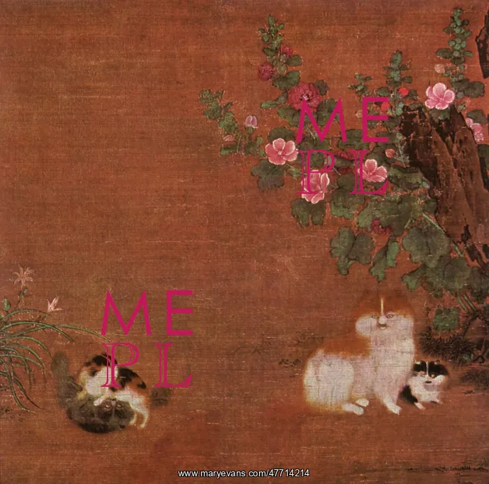  : Mother Cat and Kittens