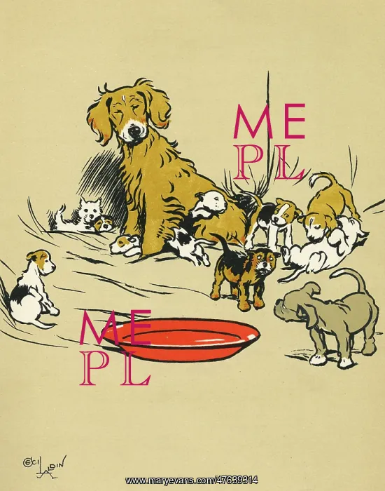 : Mother dog with assorted puppies : Mother dog with assorted puppies