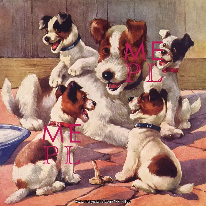  : Mother Dog and Puppies