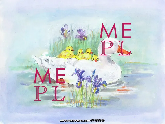 : Mother duck with four duckling on her back : Mother duck with four duckling on her back