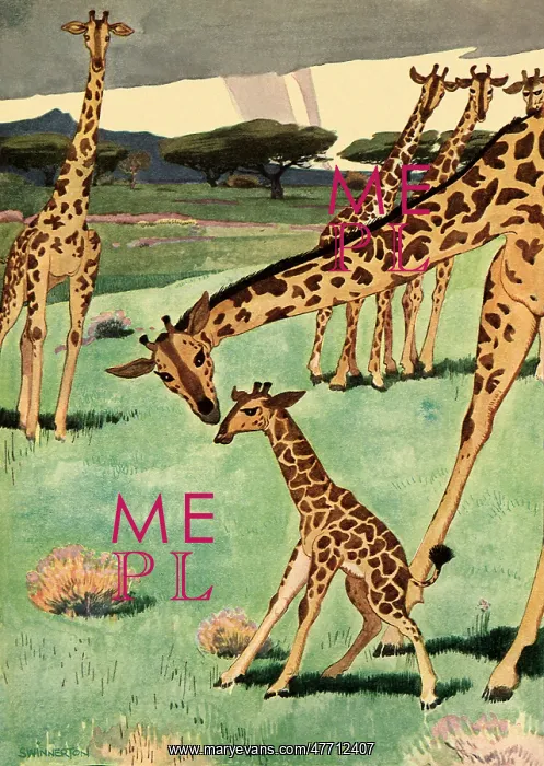  : Mother Giraffe and Baby