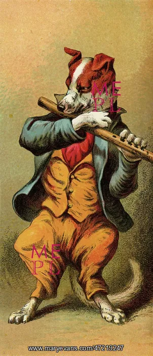 : MOTHER HUBBARD / FLUTE : MOTHER HUBBARD / FLUTE