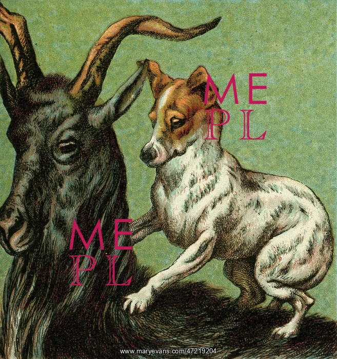 : MOTHER HUBBARD / GOAT : MOTHER HUBBARD / GOAT