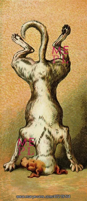 : MOTHER HUBBARD / ON HEAD : MOTHER HUBBARD / ON HEAD