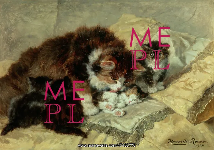 : A Mother and her four kittens : A Mother and her four kittens