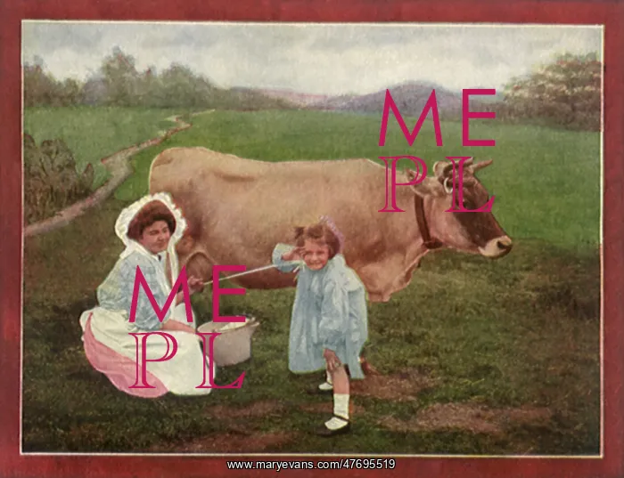  : Mother Milking Cow