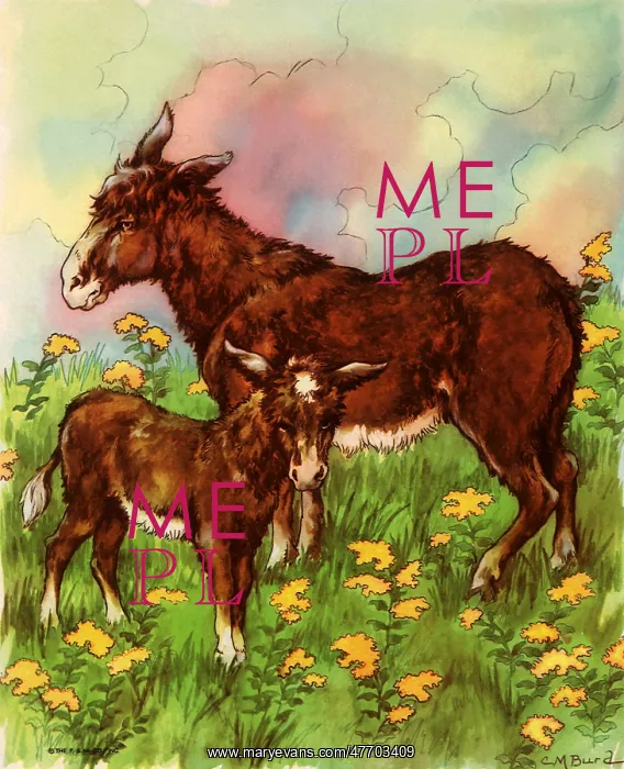  : Mother Mule and Child