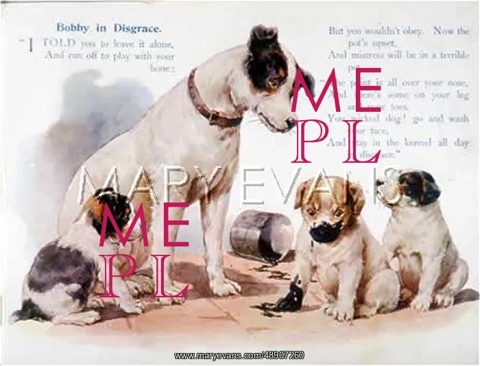 : MOTHER AND NAUGHTY PUP : MOTHER AND NAUGHTY PUP